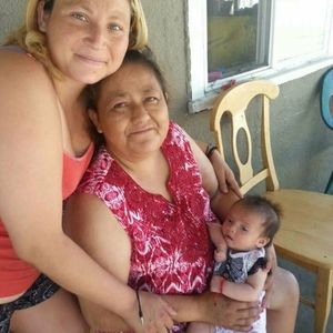 Meet your Posher, Daisy